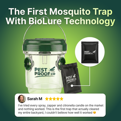BiteShield Mosquito Trap Set