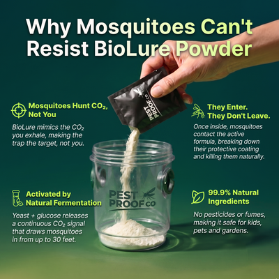 BiteShield Mosquito Trap Set