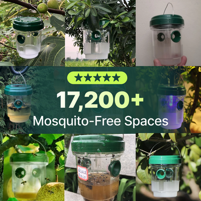 BiteShield Mosquito Trap Set
