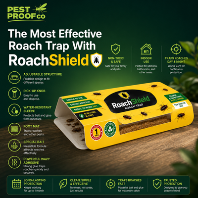 RoachShield - Floor Roach Traps