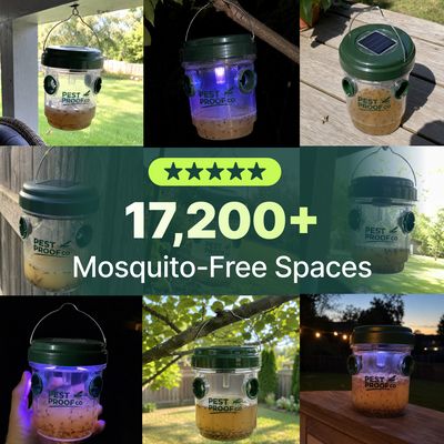 BiteShield Mosquito Trap Set