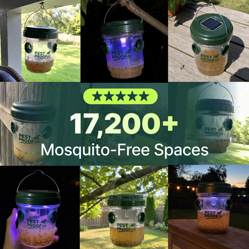 BiteShield Mosquito Trap Set