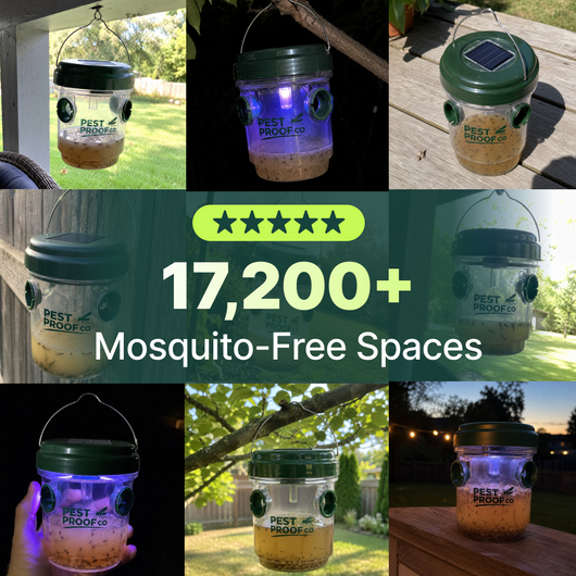 BiteShield Mosquito Trap Set